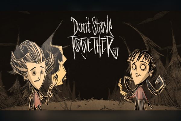Héberger un serveur Don't Starve Together chez Celltis